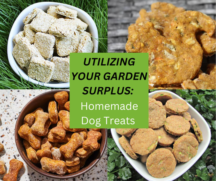 Dehydrated butternut squash dog treats best sale