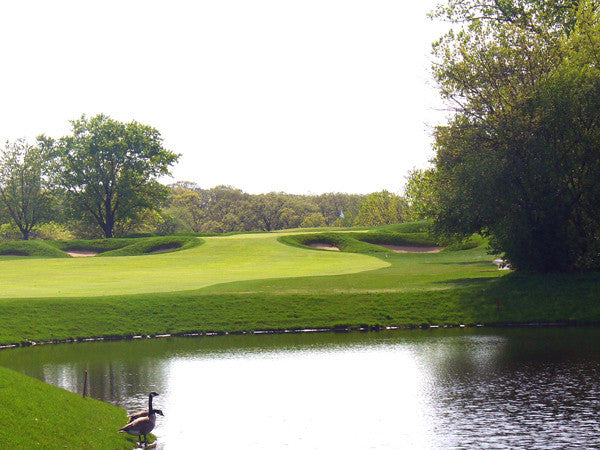 10 Ways Golf Courses Are Becoming More Environmentally Friendly – Earth ...